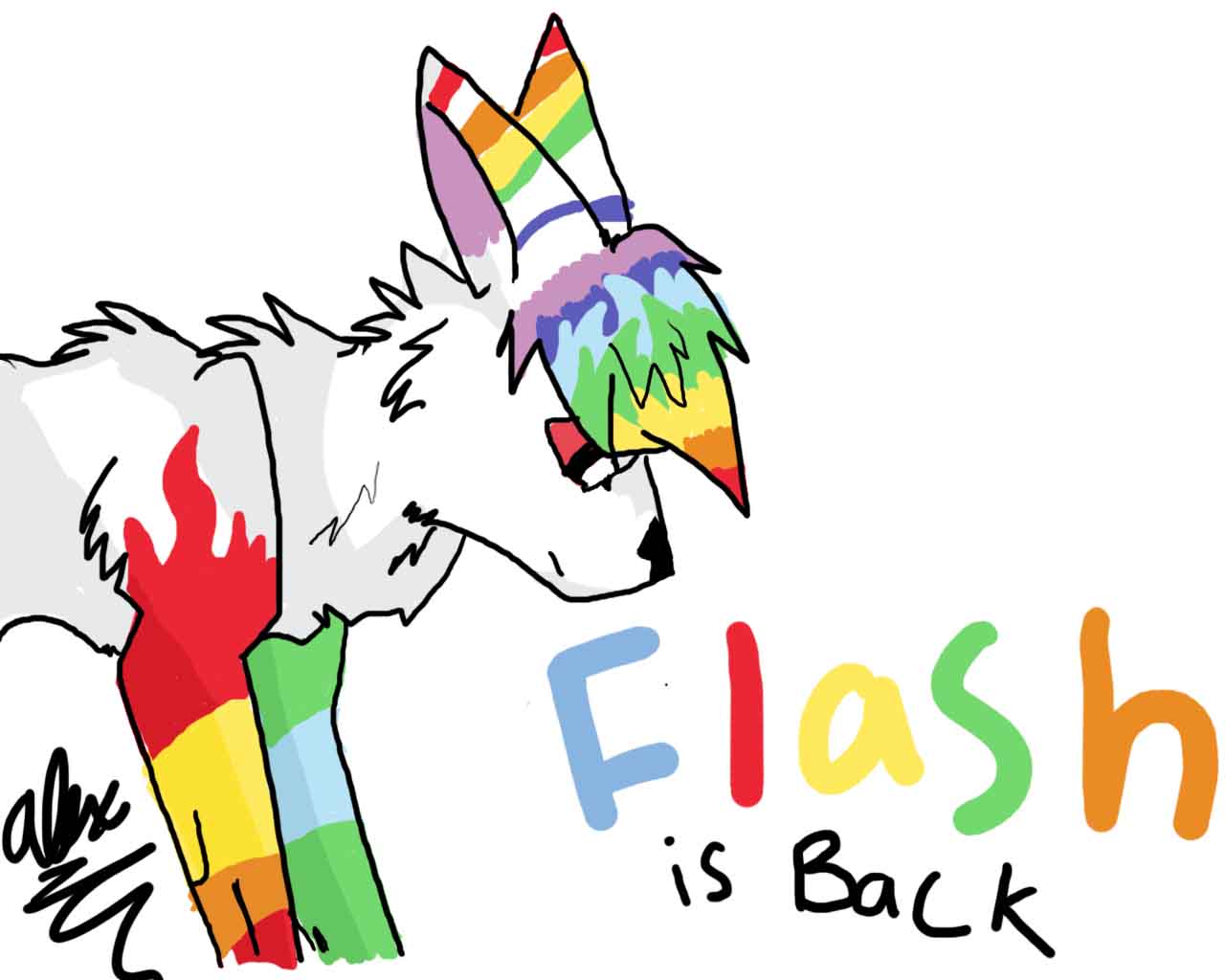 flash.jpg