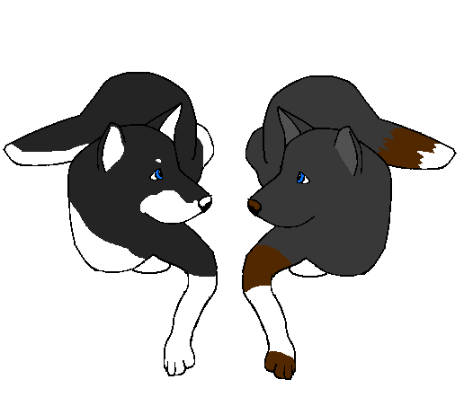 Tyson and Eclipse.PNG