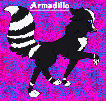 armadillo.PNG