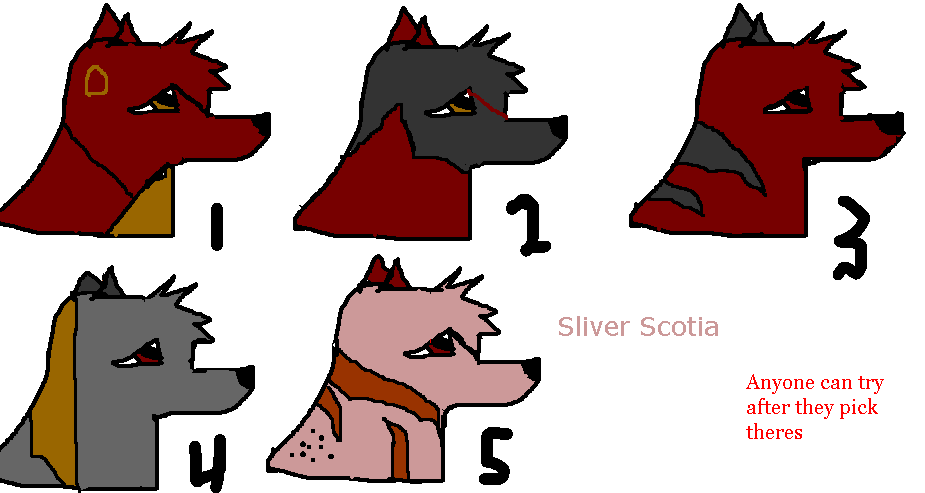 silverscotia.gif