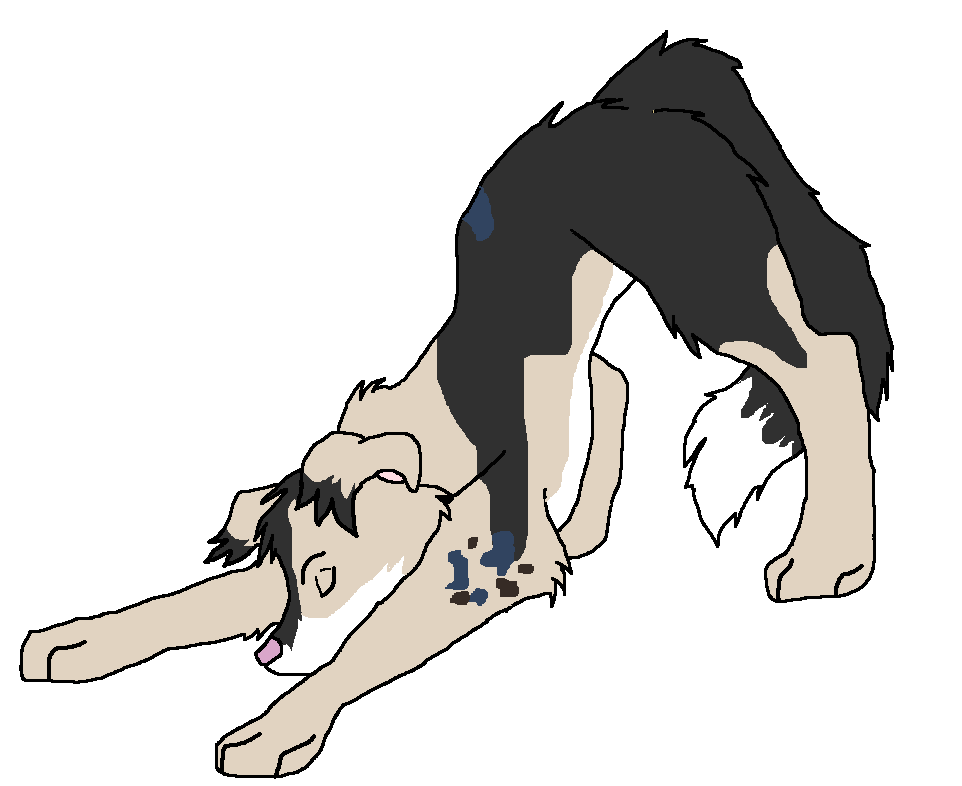 dogs 013.png