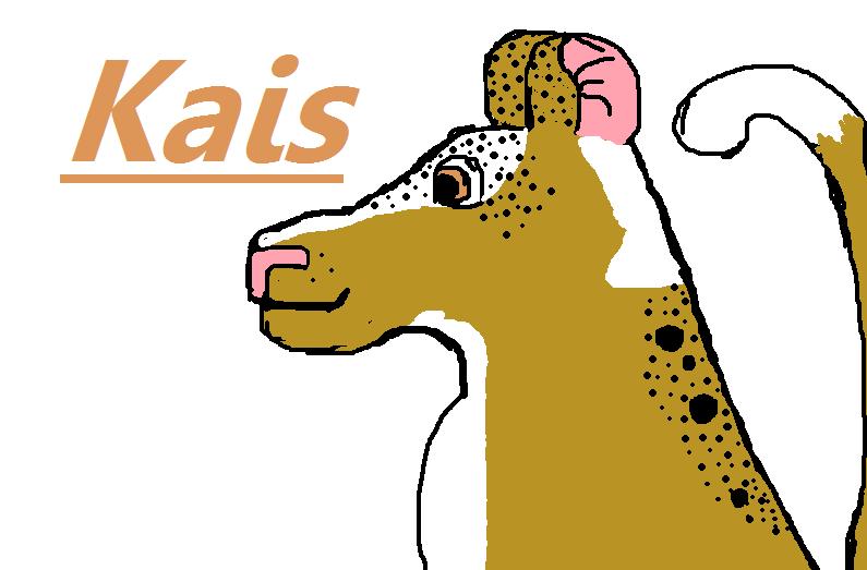 Kais.jpg