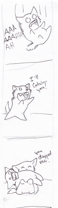 night.jpg