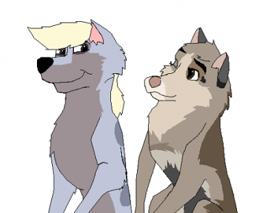 ccam.PNG