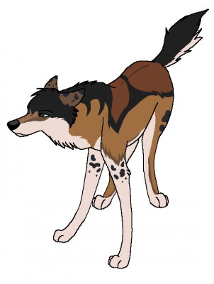 rayner.PNG