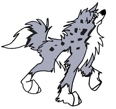 4 she wolf.JPG