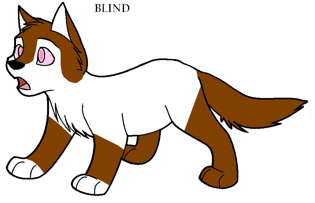 Pup2.PNG