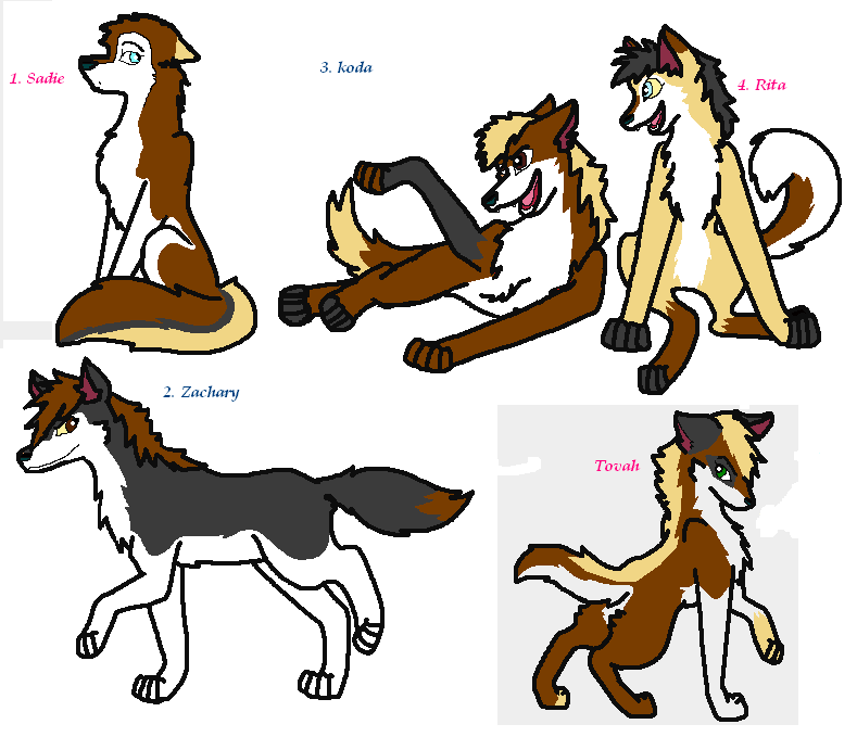 tovah's siblings for adoption.PNG