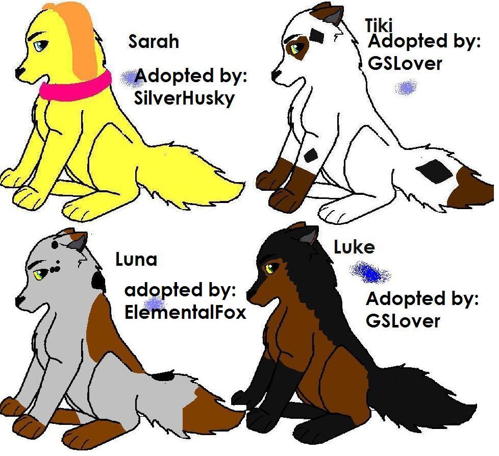 Adopted.JPG