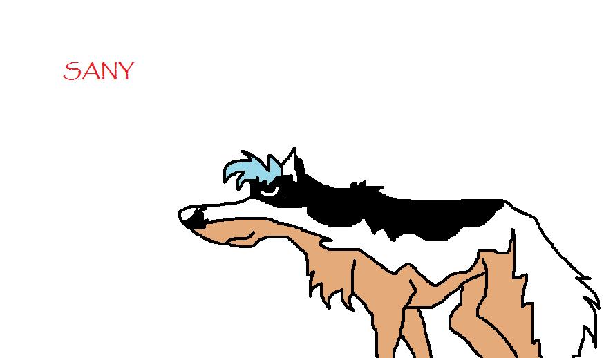 sany.jpg
