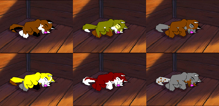 pups4adoption.PNG