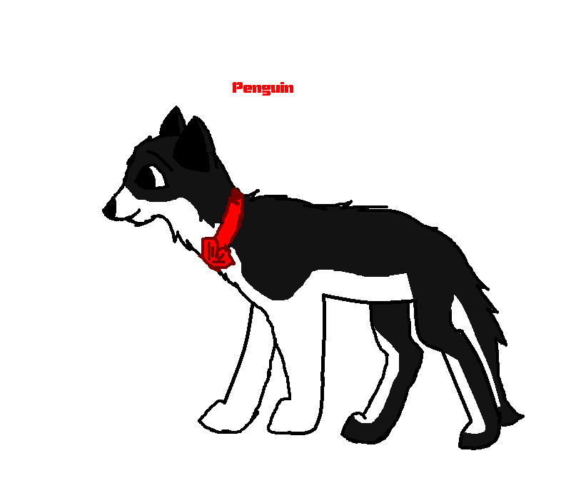 Penguin.PNG
