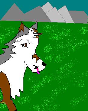 howl.JPG