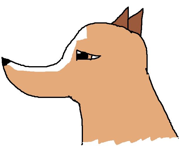 ddds.jpg