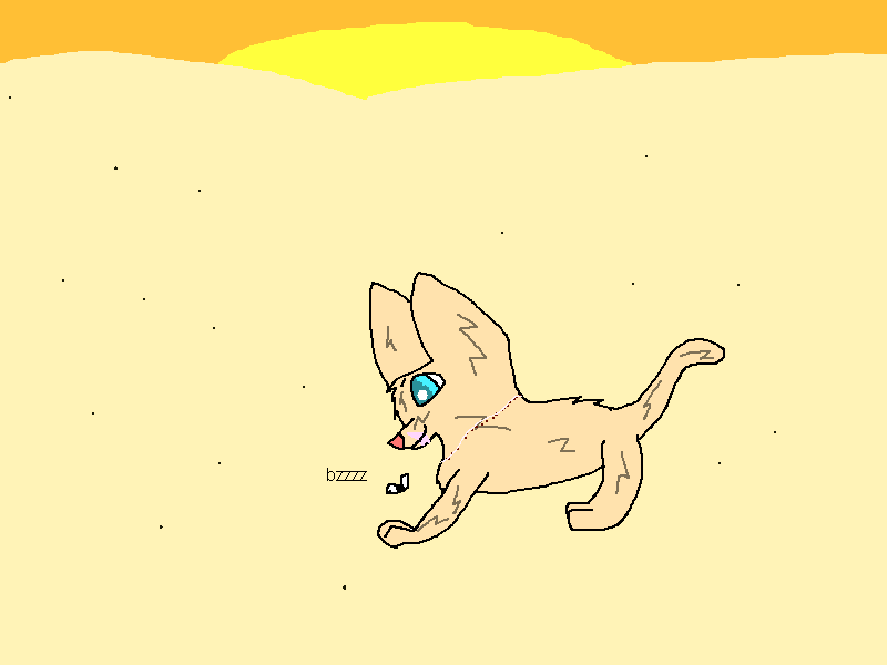 Dash.png