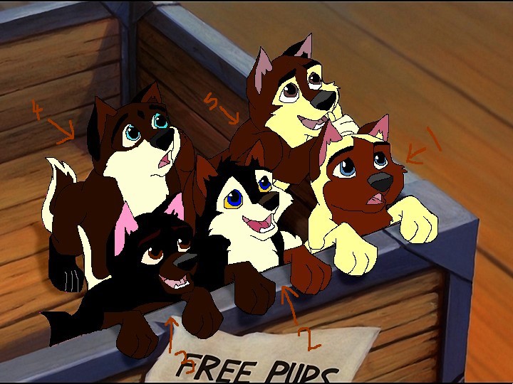 Angel and Shanes puppers.jpg