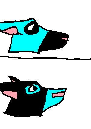 eeeeeeeee.jpg