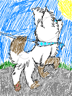 fluffy.PNG