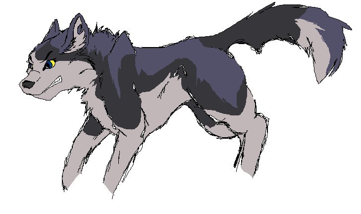 blue wolf.jpg