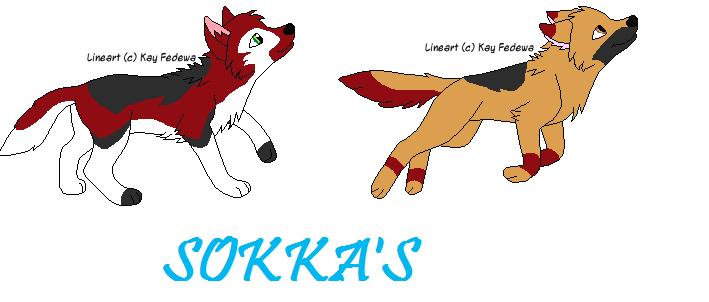 sokkas.jpg