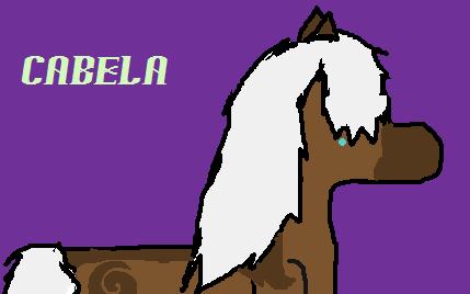 cablla.jpg