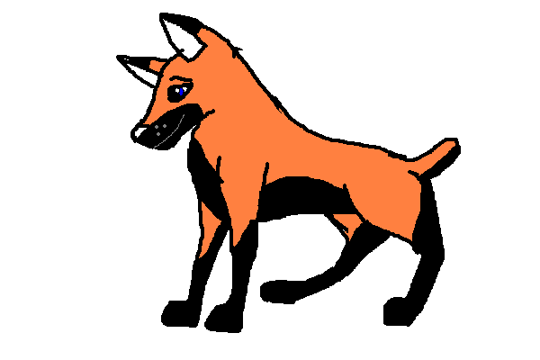 sammie.PNG