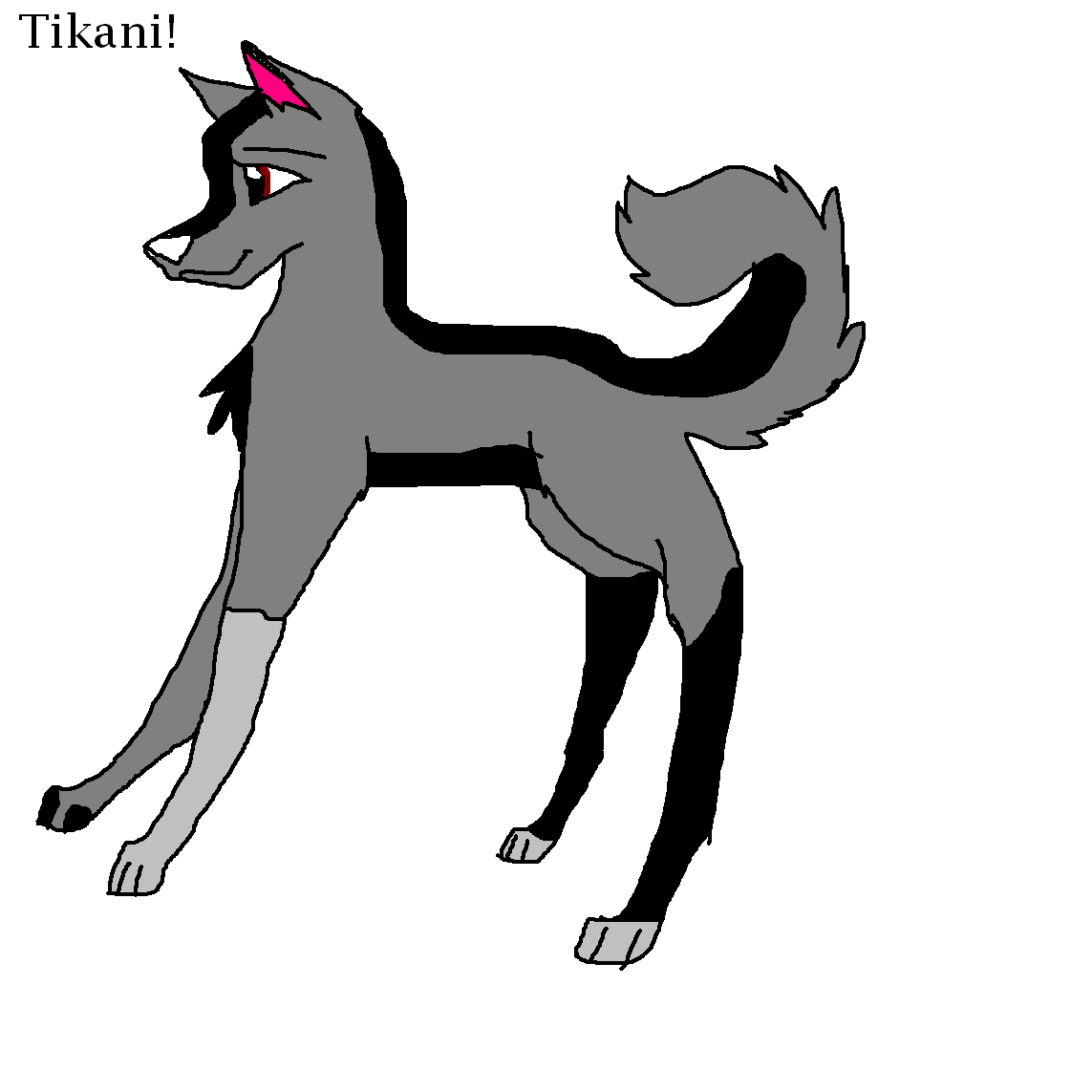 tikani.PNG