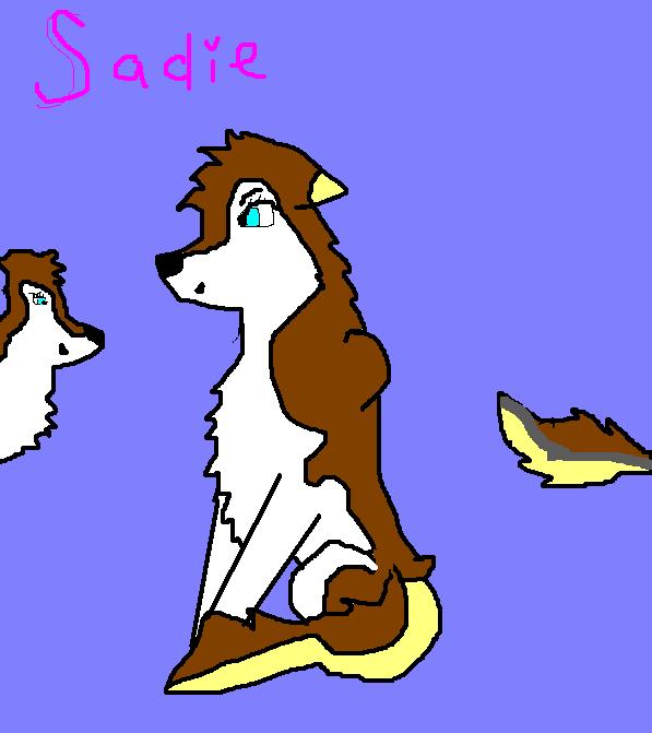 Sadie.JPG