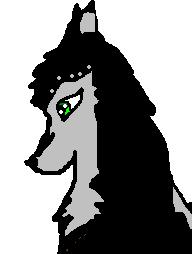 mew.JPG