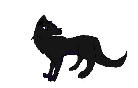Soon to be finished.jpg