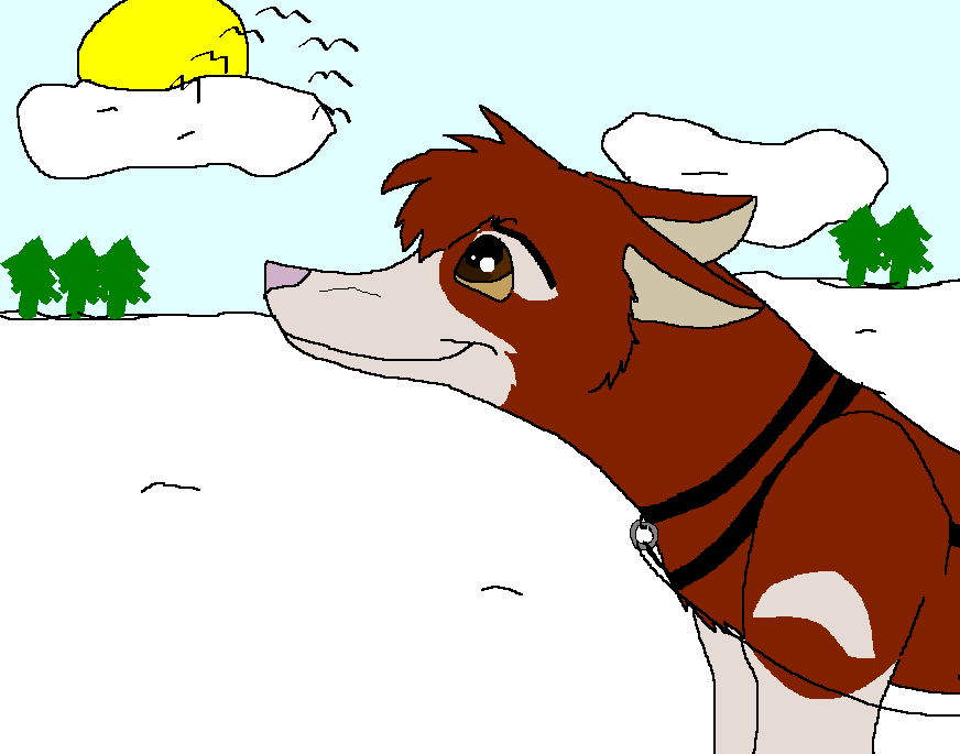 Toloh.PNG