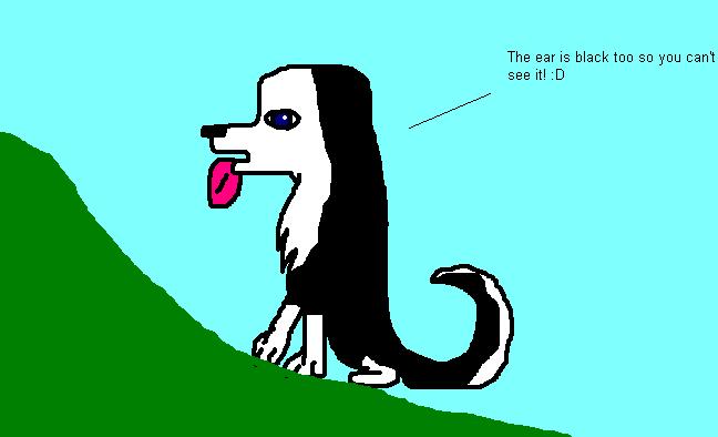 example.JPG