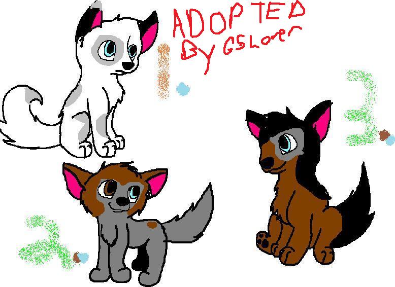 Twix%20and%20Malli's%20pups_.jpg