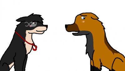 qqqqq.PNG