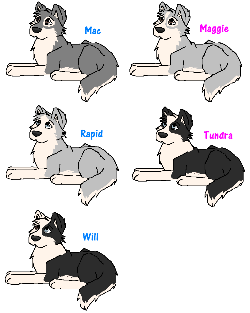 Mac,Maggie,Rapid,Tundra&Will.PNG