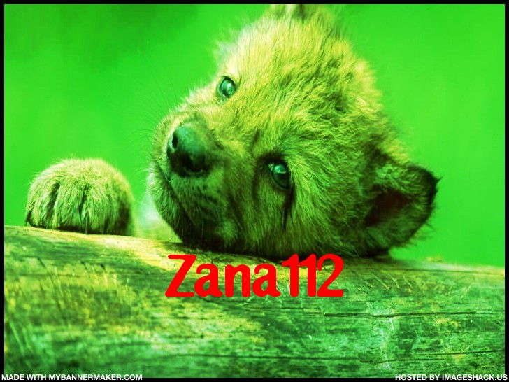 mybanner4a7796a0a5c0a.jpg