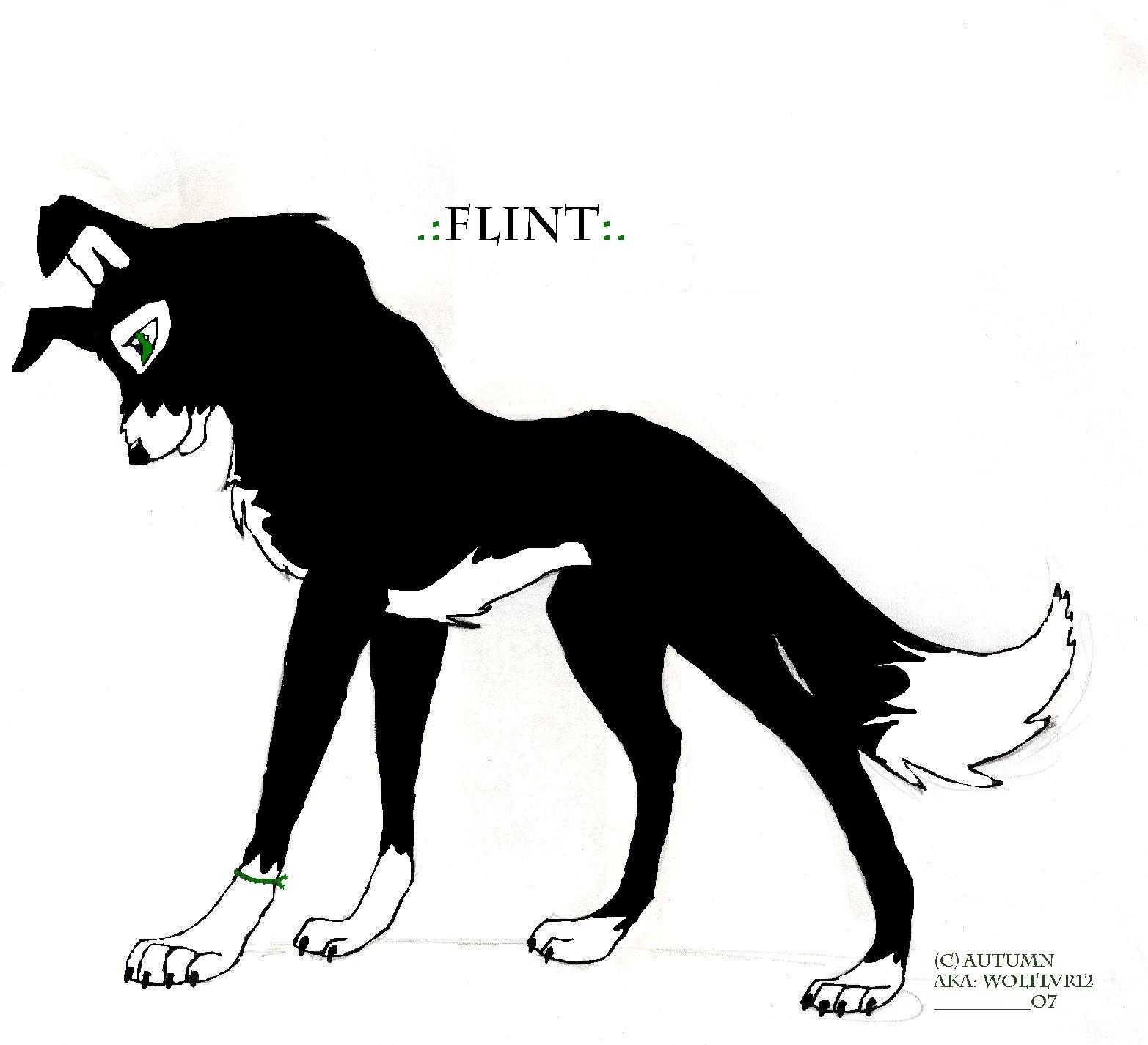 Flint.JPG