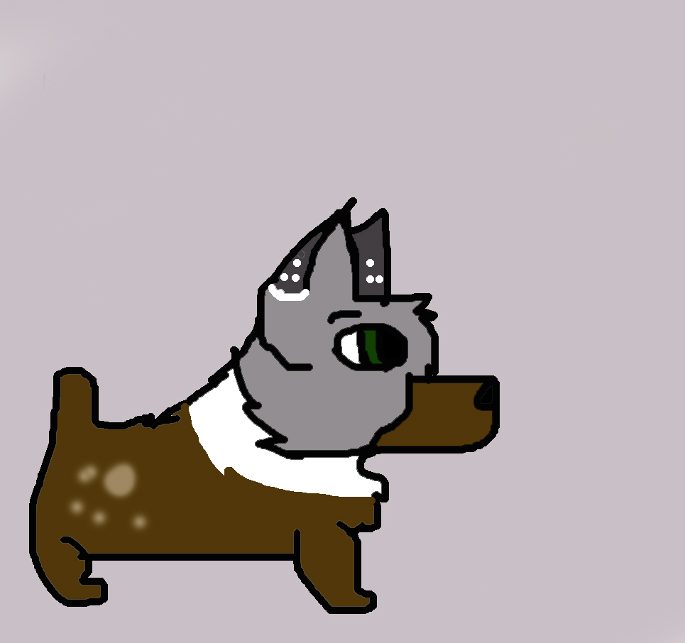 Roxy.jpg