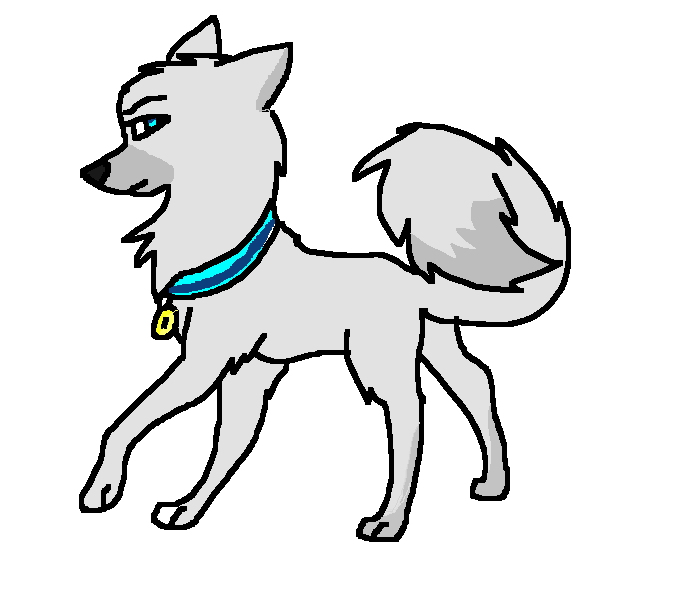 samyoed.png