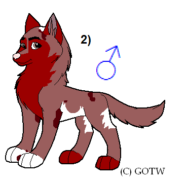 RL Fanpup2.PNG