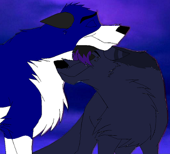 dsfgsg.PNG