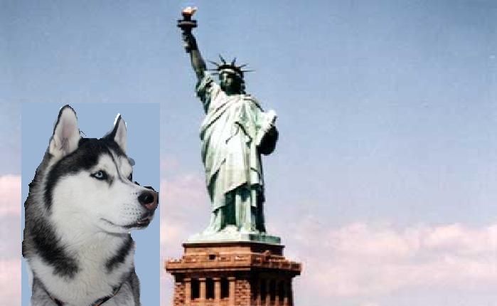 Macy!.JPG