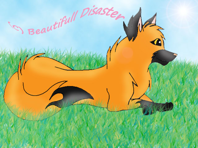 huskyxfox copy.jpg