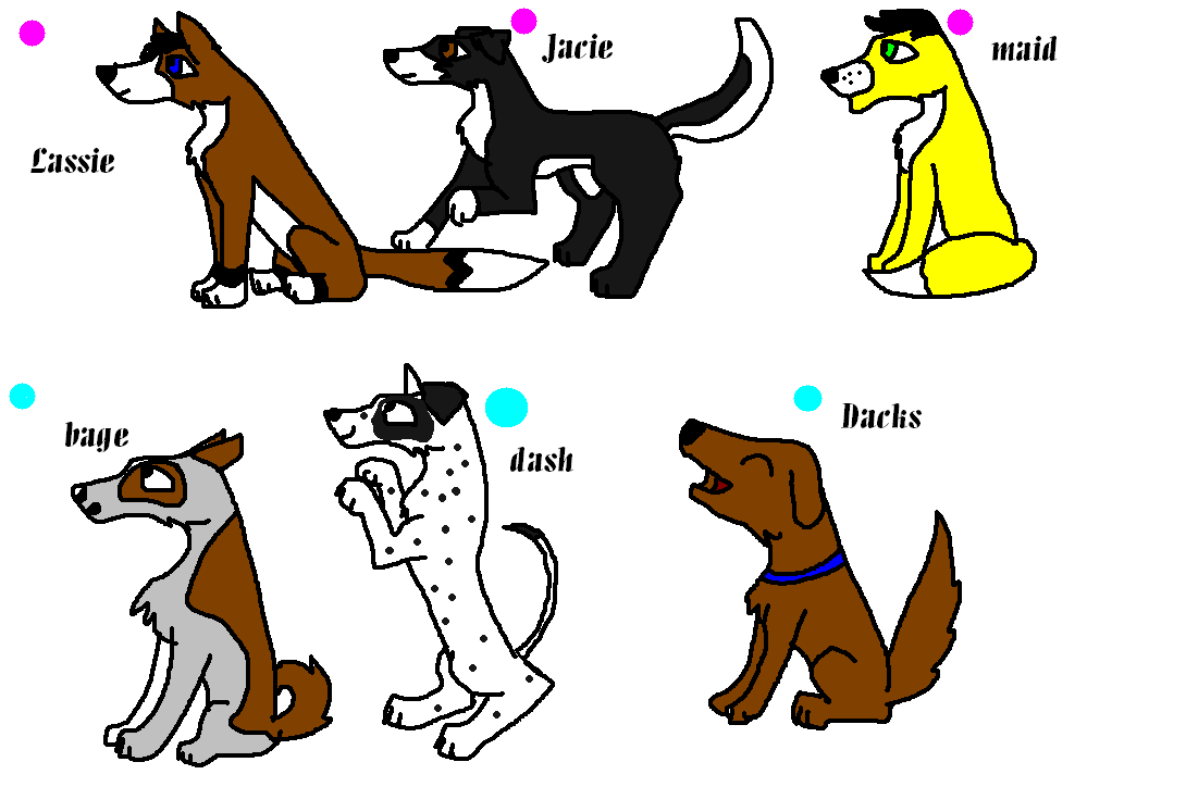 dogs in adoption center.PNG