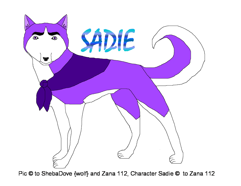 SA1616 Sadie larger copyright.png