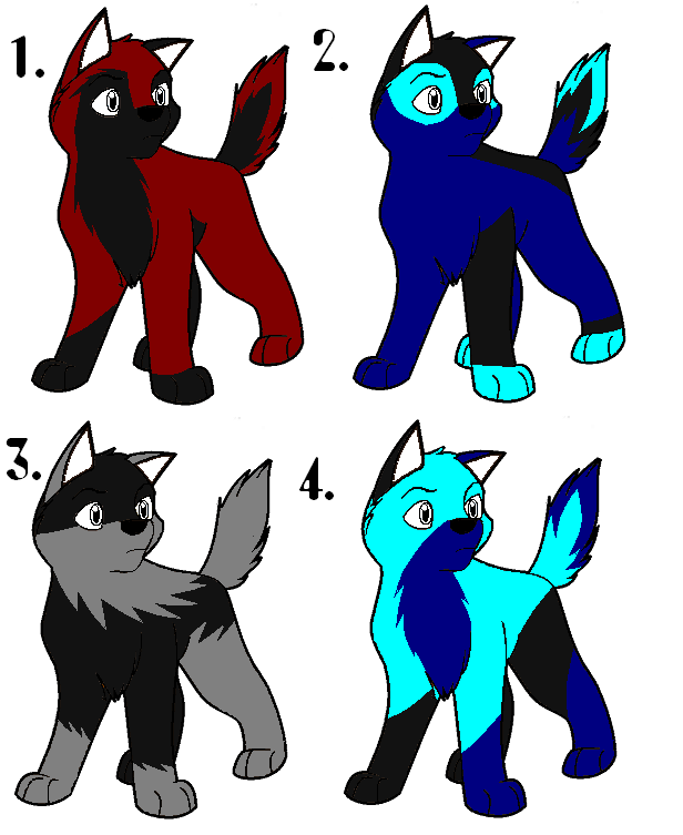 Puppy Batch #6.PNG