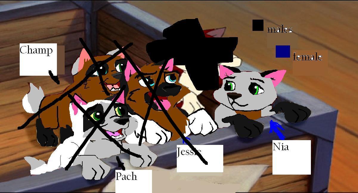 w5.JPG