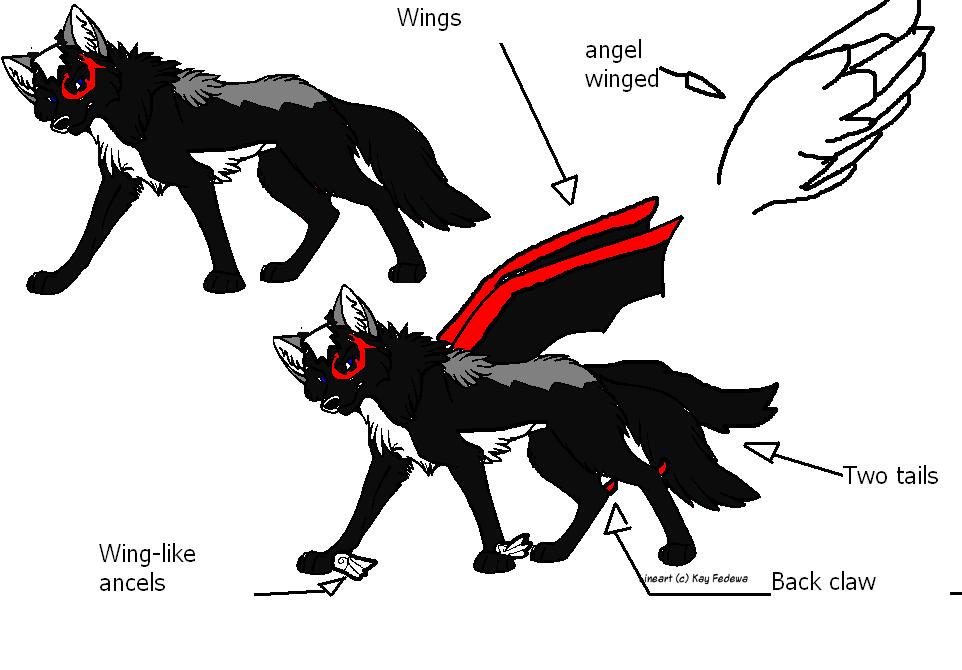 adoption sheet of orin.JPG