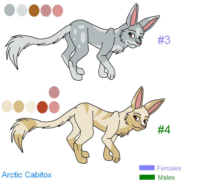 crissy's arctic cabitox's.JPG