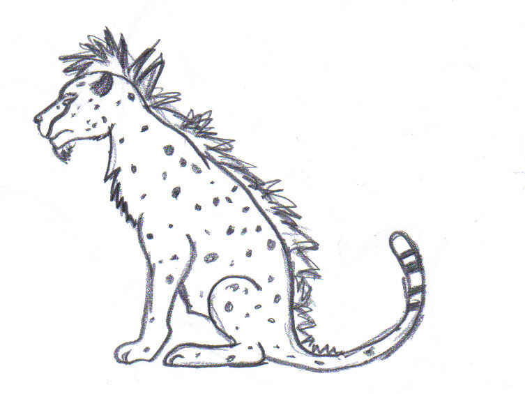 cheetah scetch.jpg
